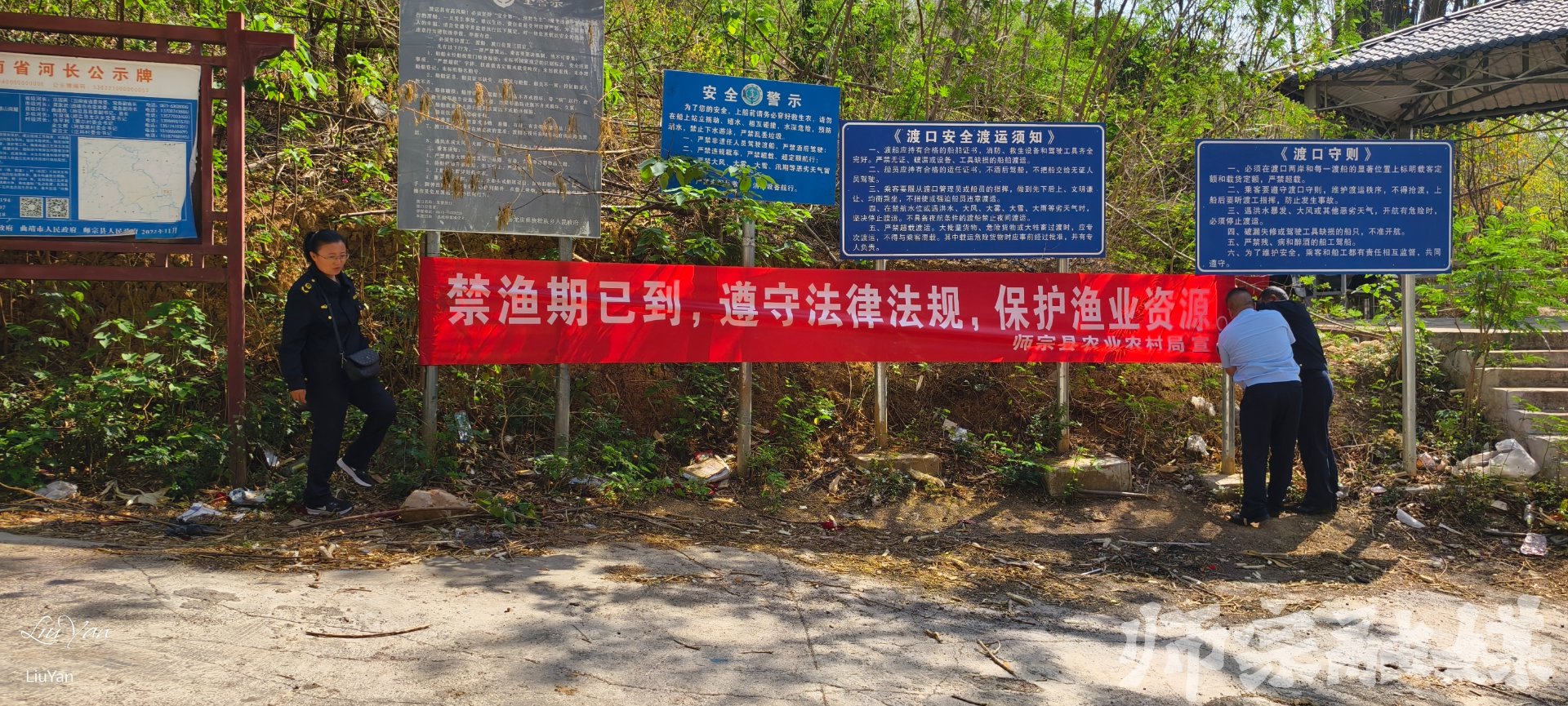 鸿富远苗木